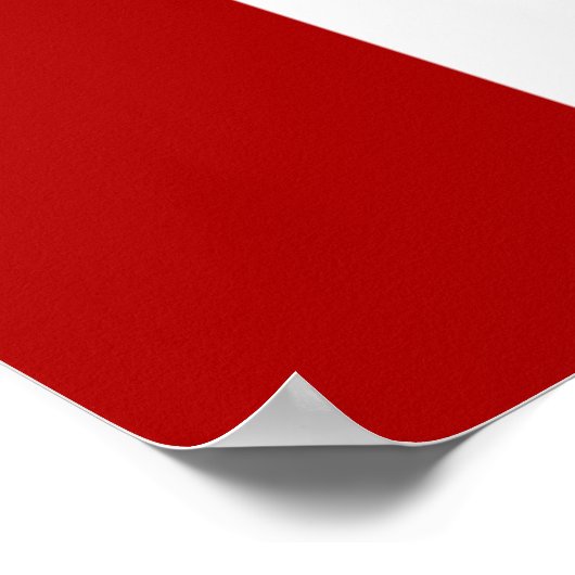 San Diego Flag ポスター (角)