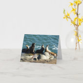 San Diego Sea Lions カード (黄色い花)