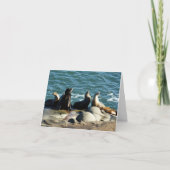 San Diego Sea Lions カード (正面)