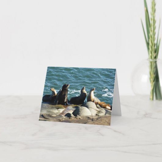 San Diego Sea Lions カード (正面)