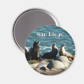 San Diego Sea Lions マグネット (正面/裏面)