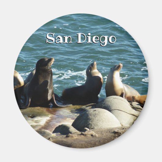 San Diego Sea Lions マグネット (正面)