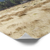 San Francisco Peaks – アリゾナ州フラッグスタッフ ポスター (角)