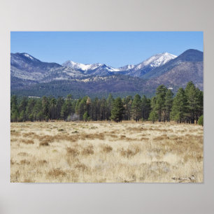 San Francisco Peaks – アリゾナ州フラッグスタッフ ポスター
