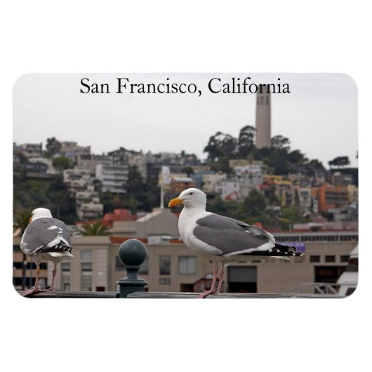 San Francisco Seagull Premium Flexiマグネット マグネット (横)