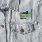 San Joaquin川、パラグアイ1865年の交差 缶バッジ (インサイチュ)