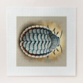 San Jose scale insect 300824IREF224 - Watercolor ジグソーパズル (横)