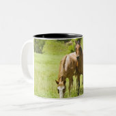 San Rafaelの谷、アリゾナの馬 ツートーンマグカップ (正面左)