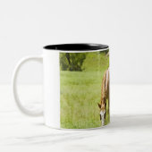 San Rafaelの谷、アリゾナの馬 ツートーンマグカップ (左)