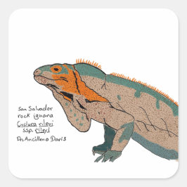San Salvador Rock Iguana Sticker スクエアシール