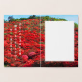 Sanada Yukimura 箔カード (内部)