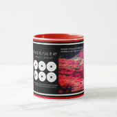 SANADA YUKIMURA:Combo Mug マグカップ (中央)