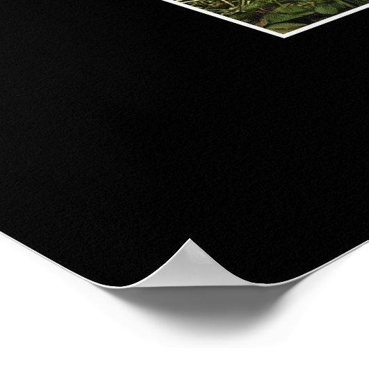 SANCTUARYアートポスター ポスター (角)