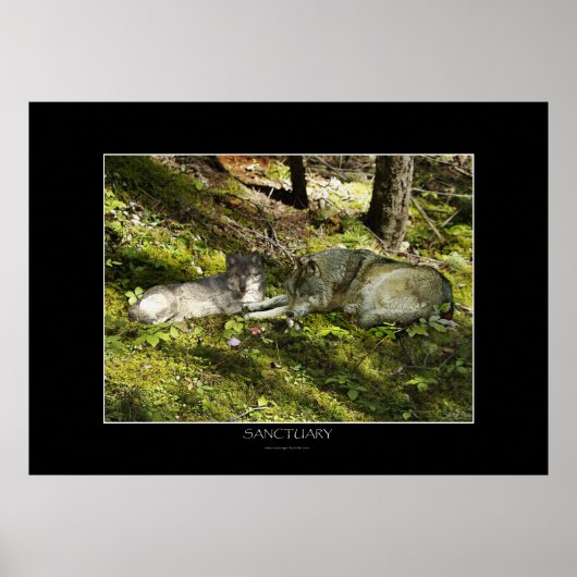 SANCTUARYアートポスター ポスター (正面)