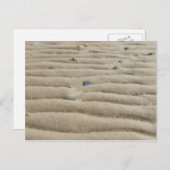 Sand an der Nordsee Postkarte ポストカード (正面/裏面)