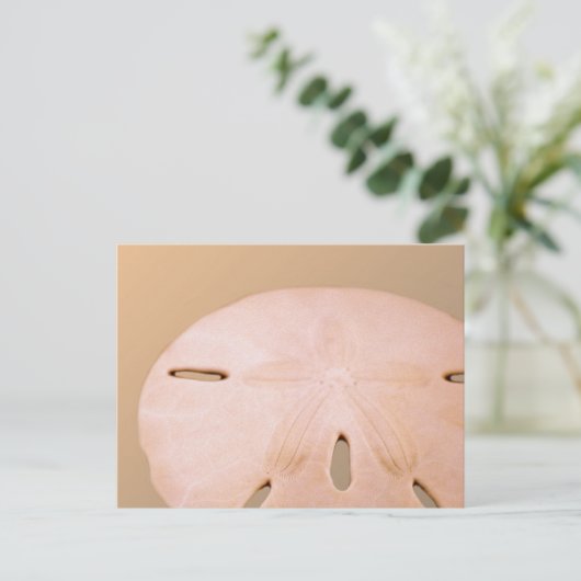 Sand Dollar ポストカード (スタンド正面)