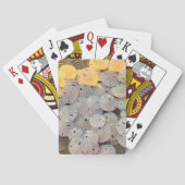 Sand Dollar Classic Playing Cards トランプ (裏面)