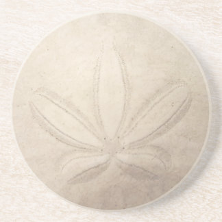 Sand Dollar Coaster コースター