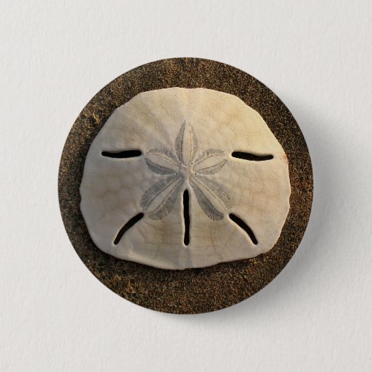 Sand Dollar Seashell Photo Custom Pin Button 缶バッジ (正面)
