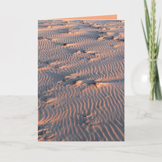 sand ripples シーズンカード (正面)