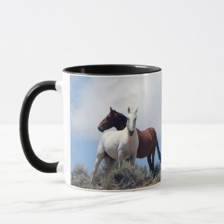 Sand Wash Basin マグカップ