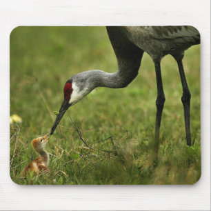 Sandhillのクレーン及びベビーのmousepad マウスパッド