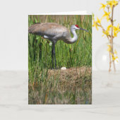 Sandhillのクレーン及び卵のメッセージカード カード (黄色い花)
