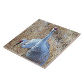 Sandhillはタイルを伸ばします タイル (側面)