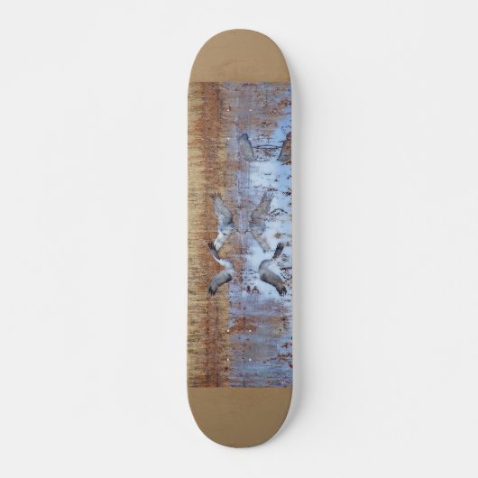 Sandhillは写真撮影のスケートボードを伸ばします スケートボード (正面)