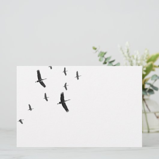 Sandhillは飛行中に伸ばします 便箋 (スタンド正面)