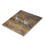 Sandhillクレーン鳥の野性生物動物 タイル (側面)