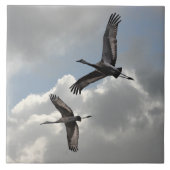 SANDHILLクレーン タイル (正面)