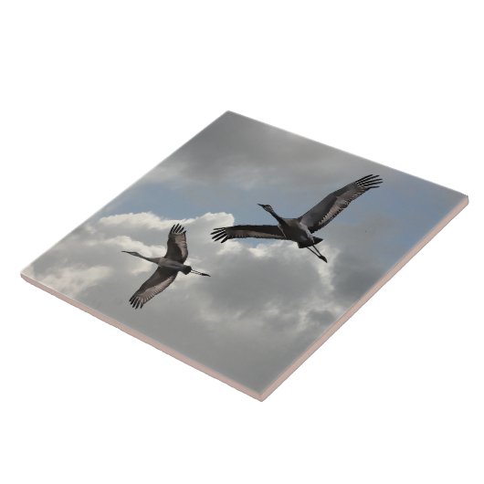 SANDHILLクレーン タイル (側面)