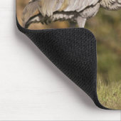 Sandhillクレーン マウスパッド (コーナー)