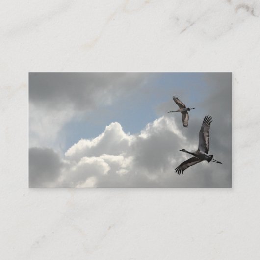 SANDHILLクレーン 名刺 (正面)