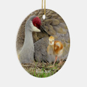 Sandhill crane bird with chick colt photography セラミックオーナメント (右)