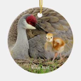 Sandhill crane bird with chick colt photography セラミックオーナメント