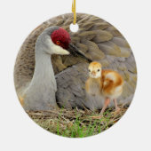 Sandhill crane bird with chick colt photography セラミックオーナメント (裏面)