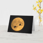 Sandhill Cranes | National Wildlife Reserve カード (黄色い花)