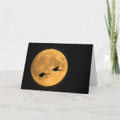 Sandhill Cranes | National Wildlife Reserve カード (正面)