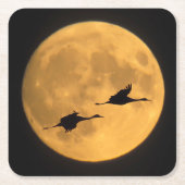 Sandhill Cranes | National Wildlife Reserve スクエアペーパーコースター (正面)