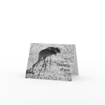 Sandhill crans on 考える of Youカード