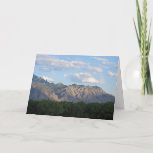 Sandia カード (正面)