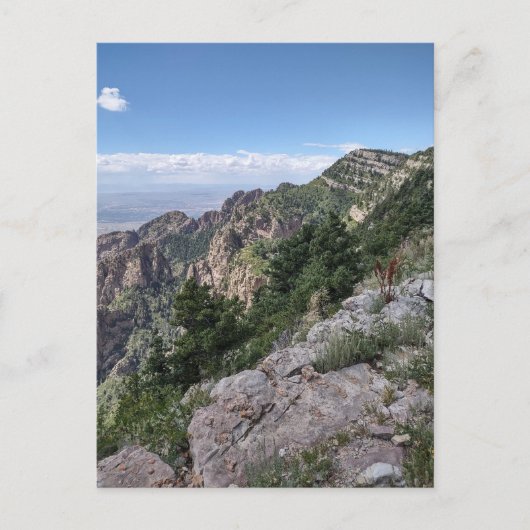 Sandia Peak Postcard ポストカード (正面)
