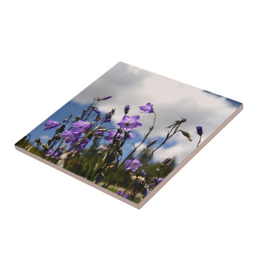 SandiasのタイルのHarebells タイル (側面)