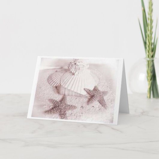 sandnshells カード (正面)