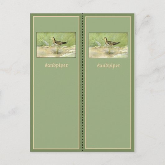 Sandpiperかわいらしブックマーク ポストカード (正面)