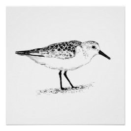 sandpiper monochrome print ポスター