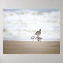 Sandpiper with Two Sanderlings on the Beach 16x20