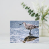 Sandpipper ポストカード (スタンド正面)